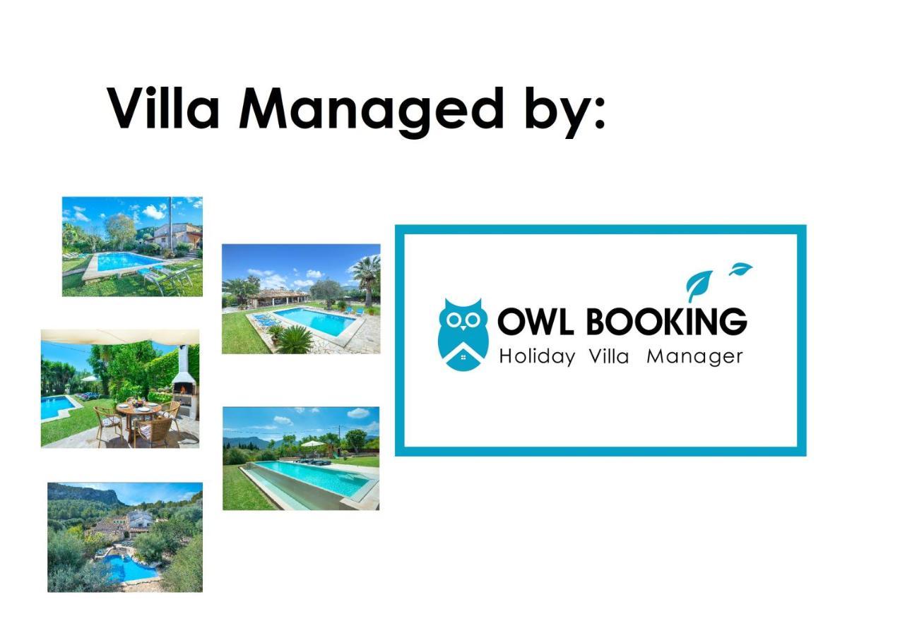 Owl Penaso - Dream Pool And Royal Garden * Pollença